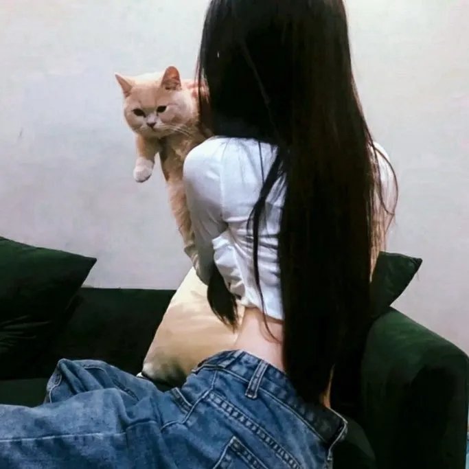 旧爱重拍
